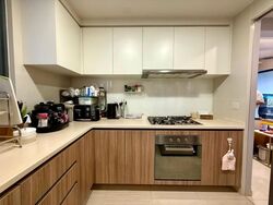 Hundred Palms Residences (D19), Condominium #607079241